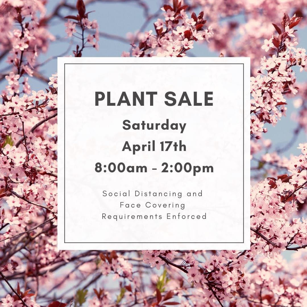 CHHS Plant Sale