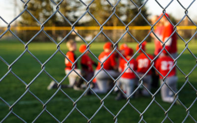 ALCC Baseball Program Joins Little League